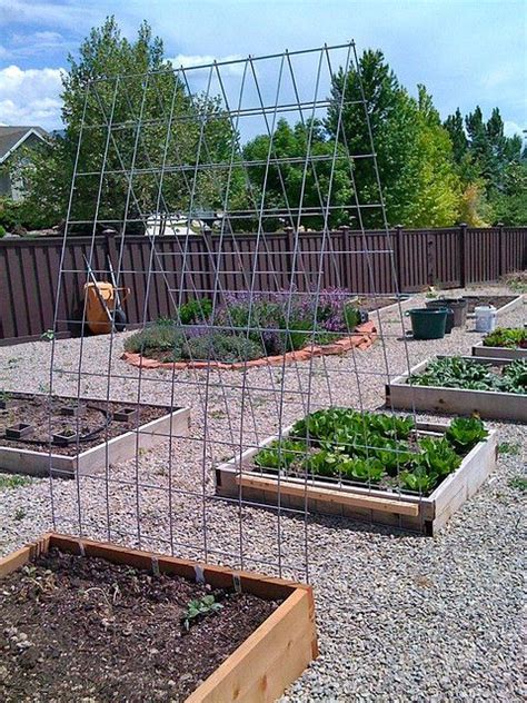 Sloping gardens can often either drain too quickly or get waterlogged. Trellis I made from cattle panel for the cucumbers ...