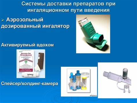 Диета при бронхообструктивном синдроме Будесонид Через Небулайзер При Коронавирусе Схема – Telegraph Будесонид Через Небулайзер При Коронавирусе Схема – Telegraph Диета при бронхообструктивном синдроме