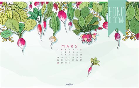 Calendrier Mars Milk With Mint