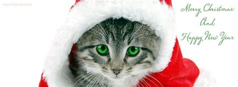 Merry Christmas And Happy New Year Christmas Kitten Christmas Animals