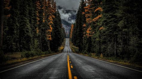 Road Between Trees With Long View Of Fog Covered Moutain 4k Hd Nature