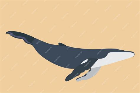 Premium Vector An Ocean Whales Illustration
