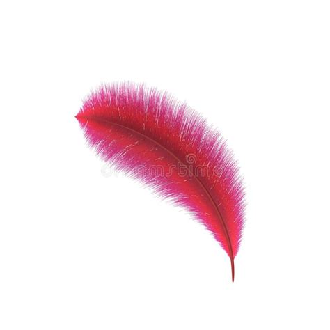Red Feather Isolated On White Background 3d Rendering Stock