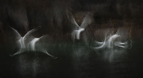 Sea Spirits Photograph By Andy Astbury Pixels