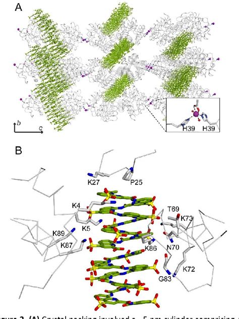 Figure From Crystal Structure Of A Protein Aromatic Foldamer