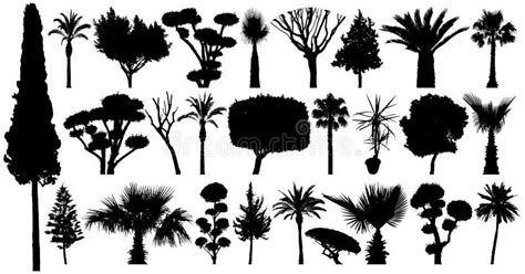 Trees Set Silhouette Vector Collection Of Plants And Bushes Stock