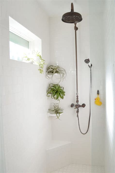 Get Onboard With Pinterests Most Popular Plant Trend Bathroom Plants