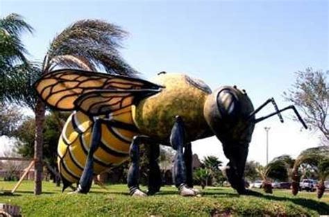 Worlds Largest Killer Bee Hidalgo Tx Top Tips Before You Go