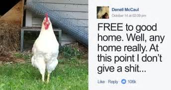 Desperate Woman Is Giving Away Her ‘ahole Rooster And Her Post Will