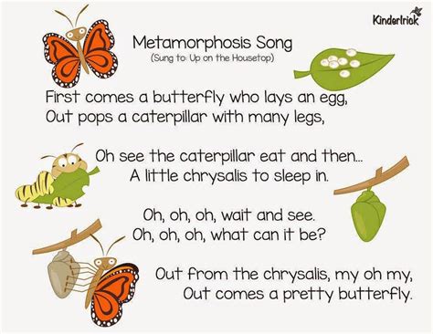 Metamorphosis Insects Preschool Preschool Songs Butterfly Lessons