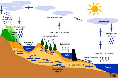 The Hydrological Cycle Diagram