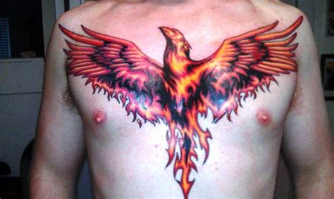 Phoenix Chest Tattoo Phoenix Tattoos Phoenix Tattoo Tattoos Chest