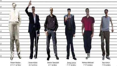 Pictures Of The Tallest Man In The World Tales Of The Tallest Men In The World And Why They