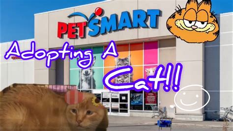 Adopting A Cat From Petsmart Youtube