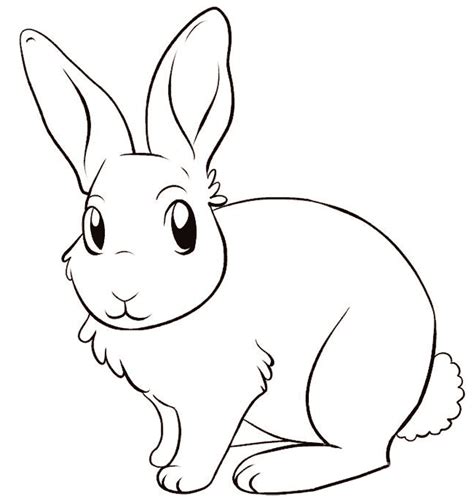 ausmalbilder-hasen-dekoking-com-12 | Bunny coloring pages, Animal