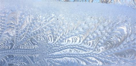 The Reason Behind The Intricate Ice Patterns On Your Window Fox 4