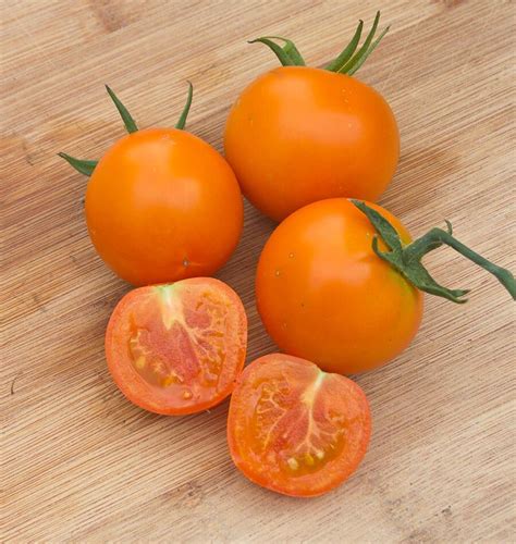 Jaune Flamme Tomato Seeds West Coast Seeds