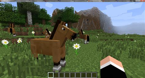 Explore dehydrated deserts, bubbling bayous, frozen tundra, and more in an infinite world that you help create! minecraft | Minecraft Dieren
