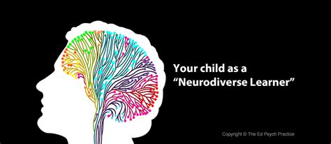 Your Child As A Neurodiverse Learner The Ed Psych Practice Blog