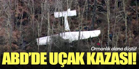 ABD de uçak kazası Ormanlık alana düştü