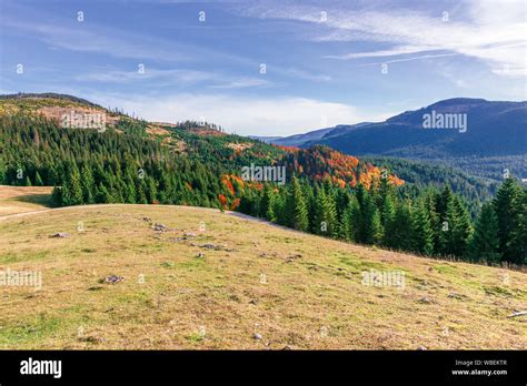 Morning Haze In Autumn Forest Hi Res Stock Photography And Images Alamy