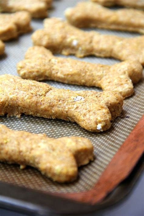 Homemade Pumpkin Oatmeal Dog Treats Dog Biscuit Recipes Dog Treats