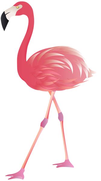 Flamingo Transparent Png Clipart Cute Flamingo Pink Flamingo Images