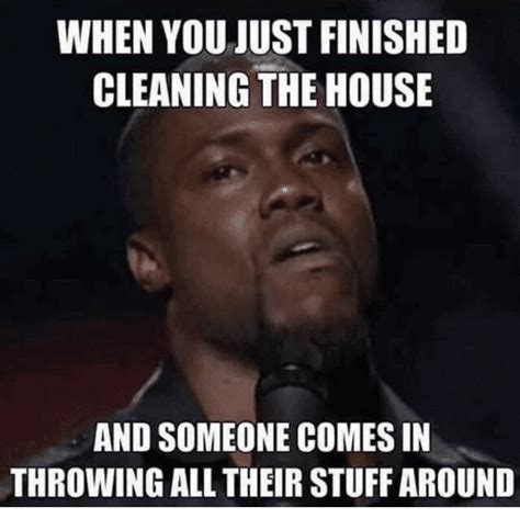 23 Incredibly Funny Cleaning Memes