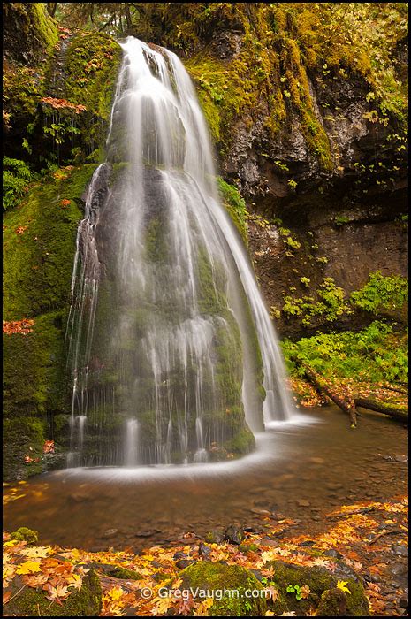 Waterfalls In Oregons Umpqua National Forest