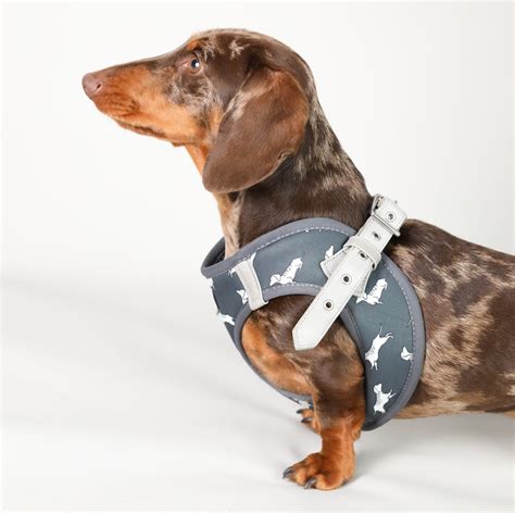 Grey Step In Dachshund Dog Harness Dachshund Harness Harness Etsy