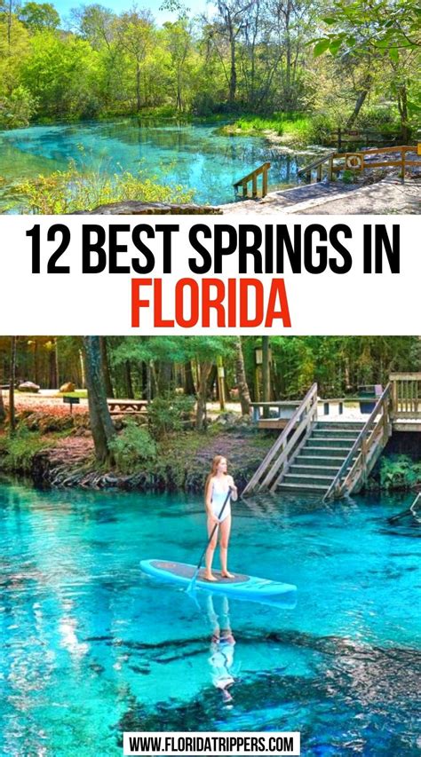 16 Best Natural Springs In Florida You Must Visit Artofit