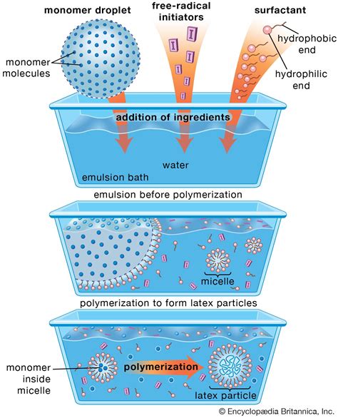 Surfactant Definition Properties Examples And Facts Britannica