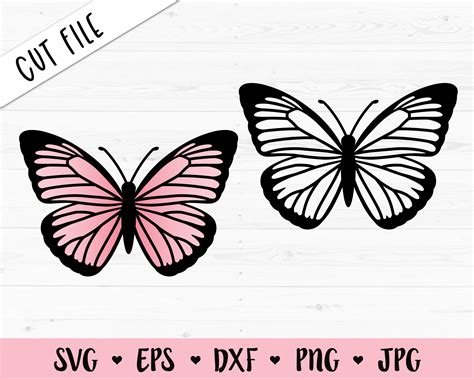 Butterfly Stencil Vector Clipart Butterfly Svg Butterfly Cut Files Free