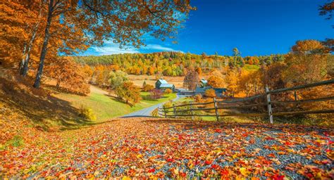 Fall Vibes — From500px Autumn In Vermont By Sunj99 Autumn Landscape