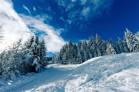 200 Free Winter Wonderland And Winter Images Pixabay