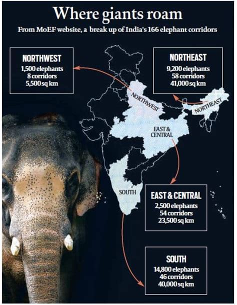 To Save Indian Elephant Corridors From Humans A £20 Million Global