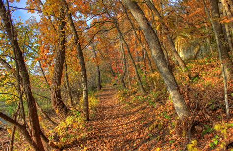Forested Hiking Path At Perrot State Park Wisconsin Image Free Stock