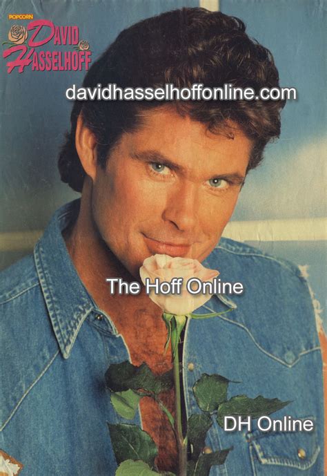 1990s The Official David Hasselhoff Website