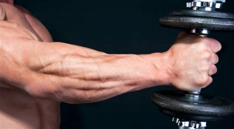 Front And Center Forearm Workout Muscle And Fitness
