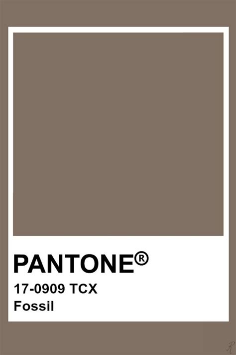 Fossil Ископаемое Pantone Color Pantone Color Chart Pantone