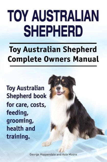 Toy Australian Shepherd Toy Australian Shepherd Dog Complete Owners