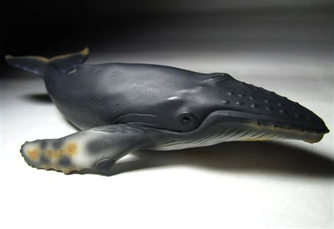 Collecta Animal Toy Figure Humpback Whale