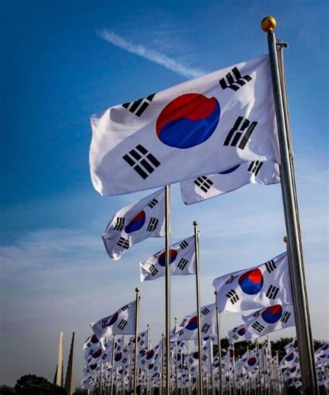Top 99 Hình Biểu Tượng Lá Cờ Hàn Quốc đẹp Nhất Tải Miễn Phí Wikipedia