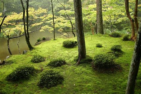 Japan Saihō Ji Kyoto Also Known As The Moss Garden Begun In