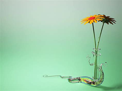 Hq Arena Two Flowers In Snake Style Jars Hd Wallpaper Pxfuel