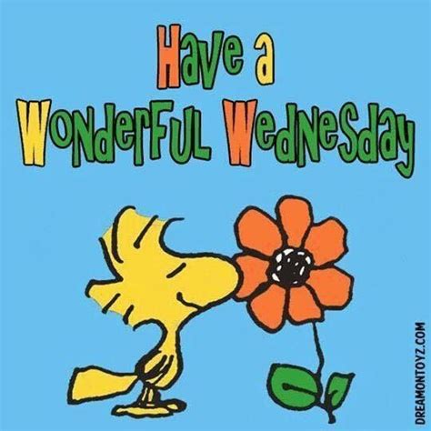 We did not find results for: Have A Wonderful Wednesday Pictures, Photos, and Images ...