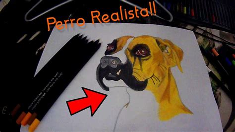 Como dibujar a un perro REALISTA Con lápices de colores How to