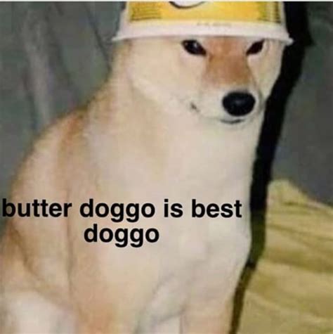 Butter Doggo Is Best Doggo Meme Ahseeit