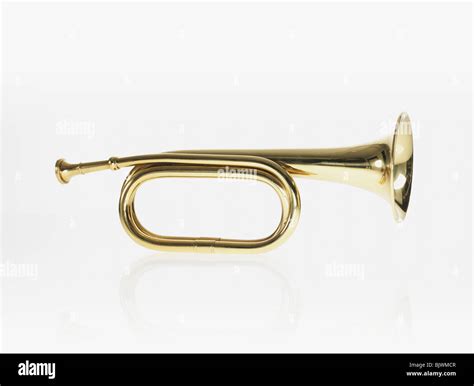 Bugle Instrument High Resolution Stock Photography And Images Alamy