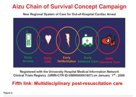 What Is The Chain Of Survival In Cpr